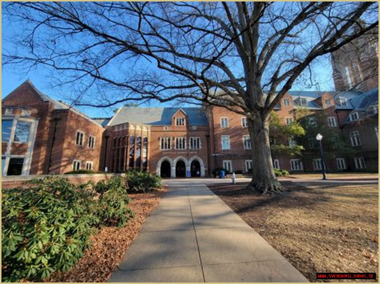 Podcasts@Boatwright | University Libraries | University of Richmond