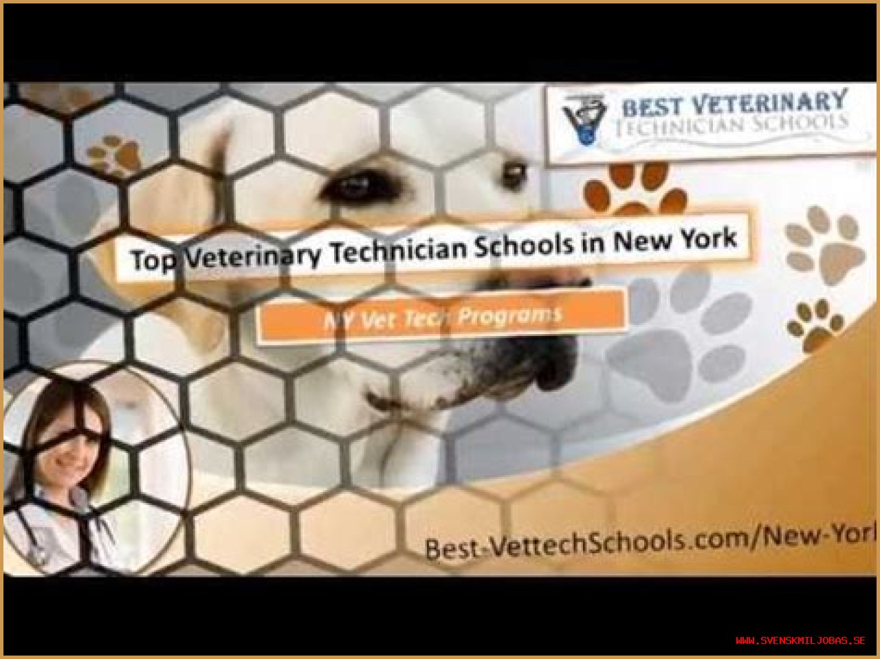 Veterinary Technician Schools in Highland Ny