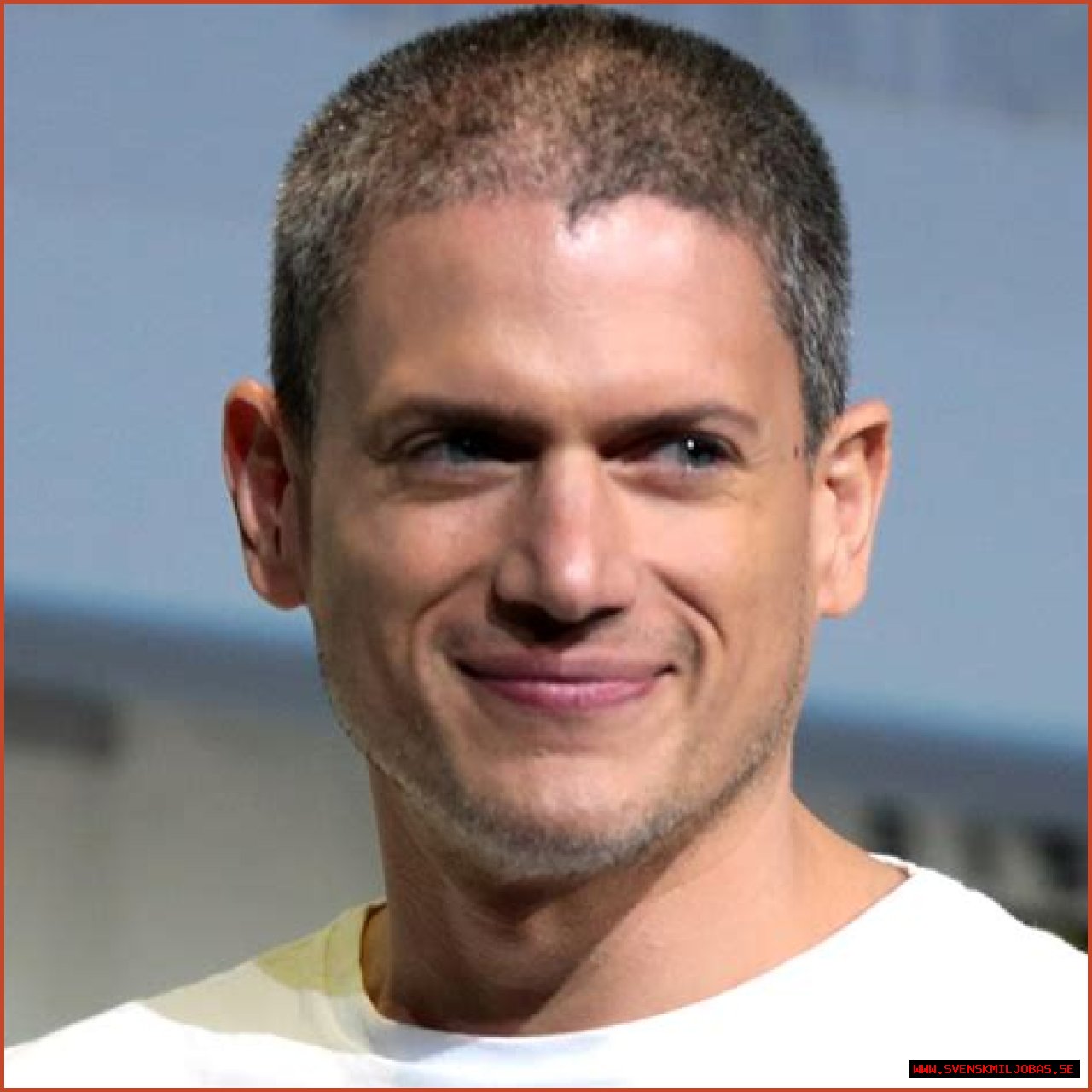 Wentworth Miller Net Worth, Income, Salary, Earnings, Biography