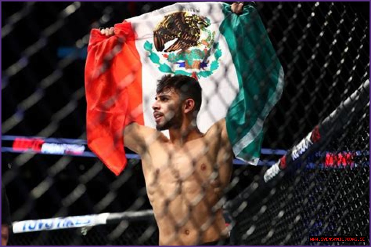 Why Was Yair Rodriguez Cut From the UFC? Did Dana White Play a Role in the
Release of the Featherweight Star?